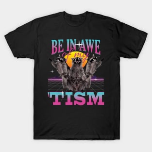 Be In Awe Of My 'Tism Autism Funny Raccoons T-Shirt